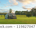 Tourist dome tent camping at forest camping site 119827047