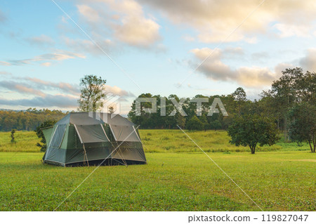 Tourist dome tent camping at forest camping site Tourist dome tent camping at forest camping site 119827047