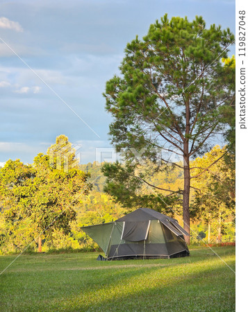 Tourist dome tent camping at forest camping site 119827048