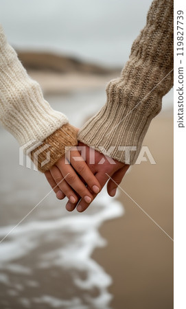 Couple Holding Hands on a Beach During a Cloudy Day With Waves Gently Lapping at the Shore 119827739