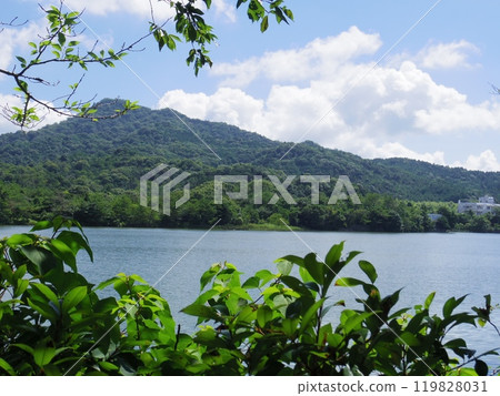 Nagasawa Pond (Yamaguchi City, Yamaguchi Prefecture) 119828031