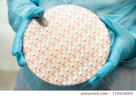 Silicon wafer for manufacturing semiconductor of integrated circuit. Silicon wafer for manufacturing semiconductor of integrated circuit. 119829064