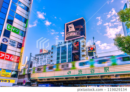 Tokyo cityscape in Japan, early morning... View of Shibuya Station, Yamanote Line, and two 3D bees from the Hachiko ticket gate side = 21st Tokyo cityscape in Japan, early morning... View of Shibuya Station, Yamanote Line, and two 3D bees from the Hachiko ticket gate side = 21st 119829134