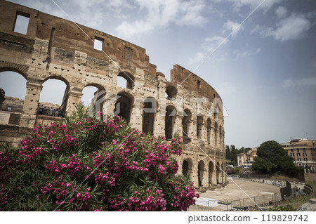 Colosseum amphitheatre in the centre of Rome 119829742