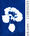 Hydrangea illustration. Gardening and flowers. Blue cyanotype print. Creative solution. Home decoration. 119830293