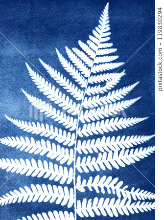A Sun Print. Blue cyanotype of herbs. Silhouettes of plats on a blue background. Plant illustration. Alternative photography. Abstract floral illustration. A Sun Print. Blue cyanotype of herbs. Silhouettes of plats on a blue background. Plant illustration. Alternative photography. Abstract floral illustration. 119830294
