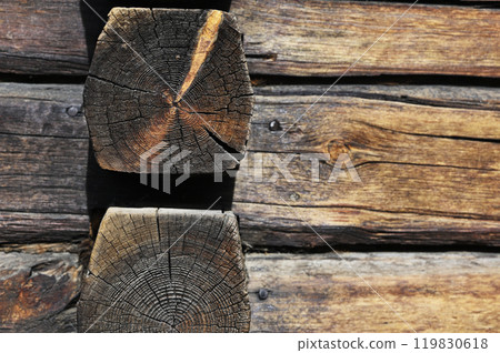 a close-up of the ends of two wooden logs a close-up of the ends of two wooden logs 119830618