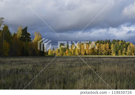 an autumn landscape under a dramatic sky 119830726