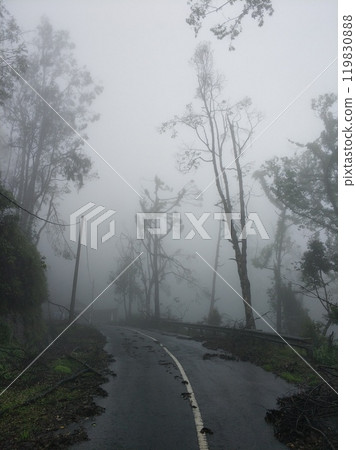 A road in the mountains in the fog after a storm. Around and on the way are broken trees and branches after a volcanic eruption. 119830888