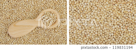background of sorghum seeds with wooden spoon. Top view. Flat lay. background of sorghum seeds with wooden spoon. Top view. Flat lay. 119831194
