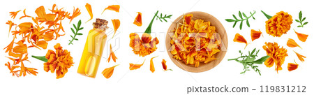 aromatherapy essential oil with marigold flower isolated on white background. Top view. Flat lay. aromatherapy essential oil with marigold flower isolated on white background. Top view. Flat lay. 119831212