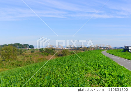 Edogawa Cycling Road, Noda City, Chiba Prefecture October 2024 119831800