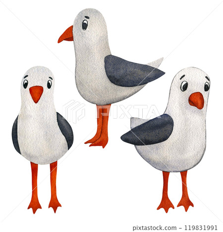 Hand drawing Seagulls Watercolor illustration. Set of ocean gulls isolated on white background. Flock of Seabirds nature design element Hand drawing Seagulls Watercolor illustration. Set of ocean gulls isolated on white background. Flock of Seabirds nature design element 119831991