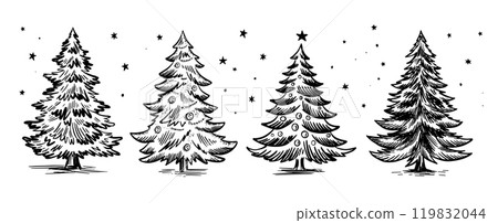 christmas, christmas tree, tree 119832044