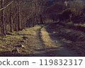 Fall country road 119832317