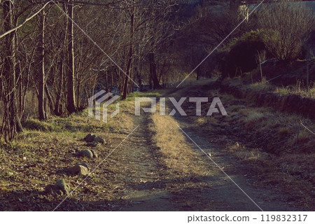 Fall country road Fall country road 119832317