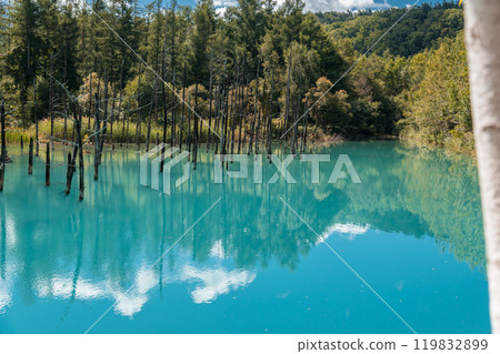 [Biei Town Shirogane: Blue Pond and Water Mirror under the Blue Sky] 119832899