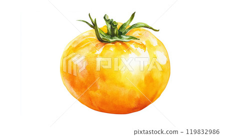 A single yellow tomato, characterized by its smooth and shiny skin, rests against a plain white background, highlighting its fresh and ripe appearance 119832986