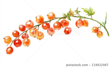 This artwork showcases a realistic rendering of red currants clustered on a slender branch, surrounded by verdant leaves, capturing the essence of summer 119832987