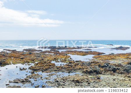 Summer in Hokkaido: Hidaka Sea 119833412