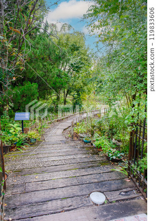 秋季羅桑莓多和田英式花園 2024 119833606