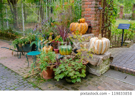 羅桑·貝瑞·多和田萬聖節 119833858