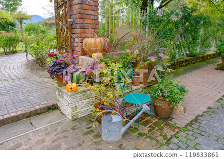 羅桑·貝瑞·多和田萬聖節 羅桑·貝瑞·多和田萬聖節 119833861