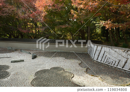 Tofukuji Temple Subtemple Ryugin-an Western Garden Dragon Garden 119834808