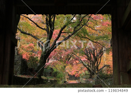 Autumn Gate 119834849