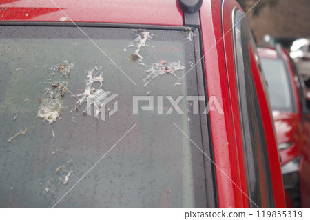 A Red Car Window featuring visible Bird Droppings along with accumulated Dust and grime 119835319