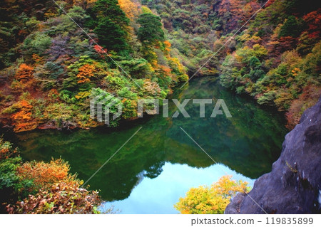 秋葉倒映在水面上 秋葉倒映在水面上 119835899