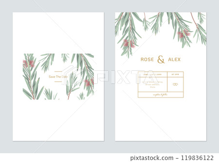 Wedding invitation card template design, bottle brush branches on white 119836122