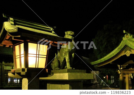 Shiba Inu和燈籠 119836223