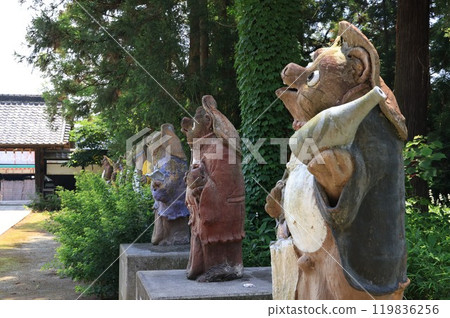 Scenery of Morinji Temple in Tatebayashi, Gunma Prefecture 119836256