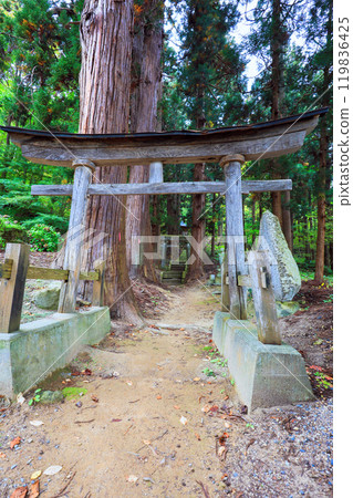 Inu no Miya Torii (vertical) 119836425