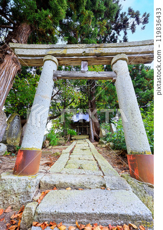貓神社鳥居(直立式) 貓神社鳥居(直立式) 119836433