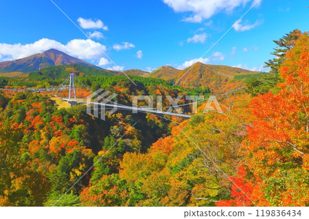 秋天的九重夢吊橋(大分縣九重町) 秋天的九重夢吊橋(大分縣九重町) 119836434