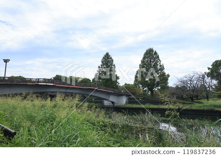 Fureai Bridge at Tsutsujigaoka Park in Tatebayashi, Gunma Prefecture 119837236