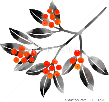 用墨畫繪製的南方天空的插圖 119837360