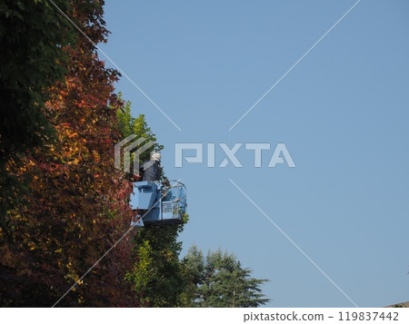 A worker pruning a tree using a work platform 119837442