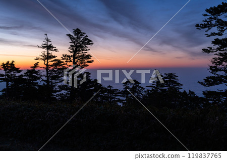 [Gunma Prefecture] Early summer dawn at Shibu Pass: A spectacular view from the highest point on the national highway 119837765