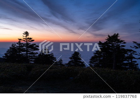 [Gunma Prefecture] Early summer dawn at Shibu Pass: A spectacular view from the highest point on the national highway 119837768