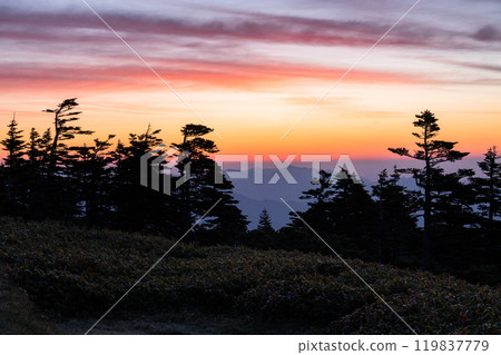 [群馬縣]初夏澀嶺的黎明，從國道最高點看到的壯麗景色 119837779