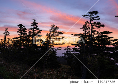 [Gunma Prefecture] Early summer dawn at Shibu Pass: A spectacular view from the highest point on the national highway 119837786