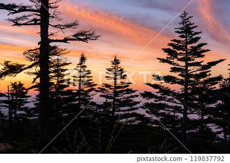 [Gunma Prefecture] Early summer dawn at Shibu Pass: A spectacular view from the highest point on the national highway 119837792