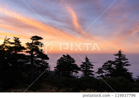 [群馬縣]初夏澀嶺的黎明，從國道最高點看到的壯麗景色 119837796