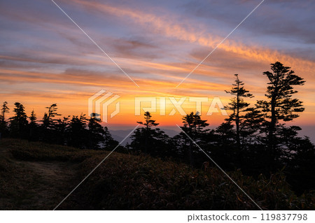 [Gunma Prefecture] Early summer dawn at Shibu Pass: A spectacular view from the highest point on the national highway 119837798