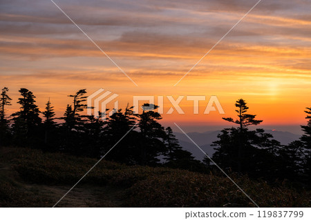 [Gunma Prefecture] Early summer dawn at Shibu Pass: A spectacular view from the highest point on the national highway 119837799