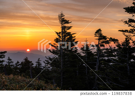 [Gunma Prefecture] Early summer dawn at Shibu Pass: A spectacular view from the highest point on the national highway 119837838