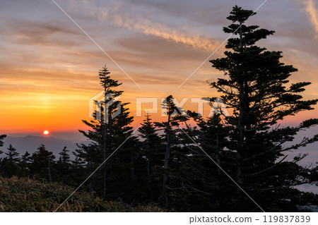 [Gunma Prefecture] Early summer dawn at Shibu Pass: A spectacular view from the highest point on the national highway 119837839